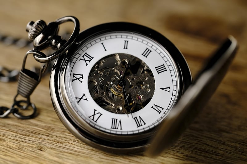 Time Traveler